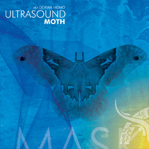 Ultrasound - Moth